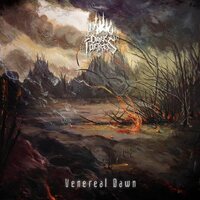 Dark Fortress - Venereal Dawn vinyl cover