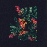 Dark Sky - Othona vinyl cover