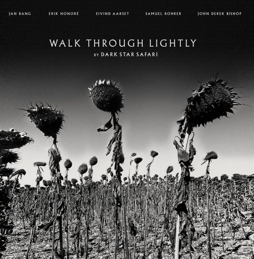 Dark Star Safari - Walk Through Lightly vinyl cover