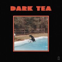 Dark Tea - Dark Tea vinyl cover