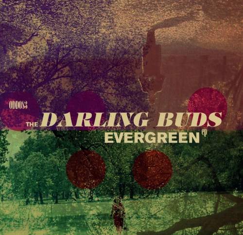 Darling Buds - Evergreen vinyl cover