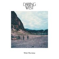 Darling West - While I Was Asleep vinyl cover