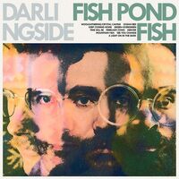 Darlingside - Fish Pond Fish vinyl cover