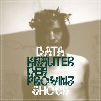 Datashock - Krauter Der Provinz vinyl cover