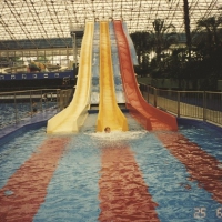 Dave Harrington Group - Become Alive vinyl cover