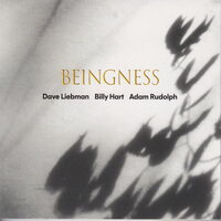 Dave Leibman - Beingness vinyl cover