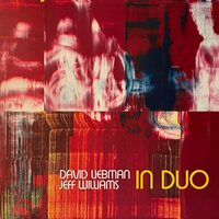 Dave Liebman & Jeff Williams - In Duo vinyl cover