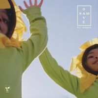 Dave + Sam - No Shade vinyl cover