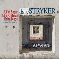 Dave Stryker - As We Are vinyl cover