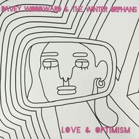 Davey Woodward /  Winter Orphans - Love & Optimism vinyl cover