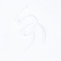 David August - Vis vinyl cover