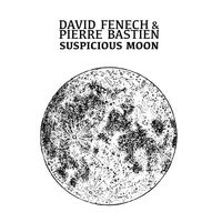 David / Bastien Fenech - Suspicious Moon vinyl cover