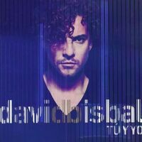 David Bisbal - Tu Y Yo vinyl cover