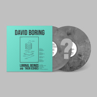 David Boring - Liminal Beings & Their Echoes (Grey Eco-Mix) vinyl cover