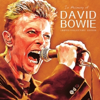 David Bowie - In Memory Of David Bowie vinyl cover