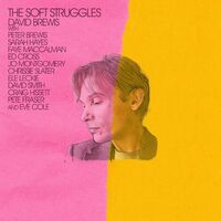 David Brewis - The Soft Struggles vinyl cover