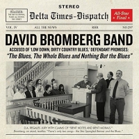 David Bromberg Band - The Blues, The Whole Blues And Nothing But The Blues vinyl cover