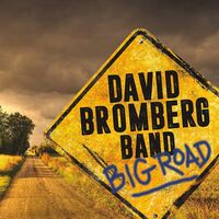 David Bromberg - Big Road vinyl cover