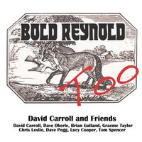 David Carrol - Bold Reynold Too vinyl cover