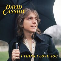 David Cassidy - I Think I Love You vinyl cover