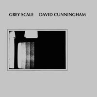David Cunningham - Grey Scale vinyl cover