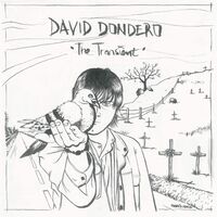 David Dondero - The Transient vinyl cover