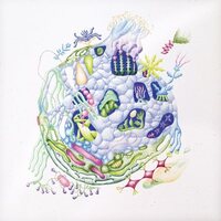 David Edren - Binnenin vinyl cover