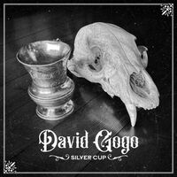 David Gogo - Silver Cup vinyl cover