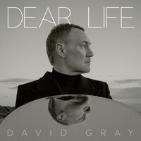 David Gray - Dear Life vinyl cover