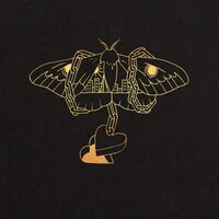 David Gray - Gold In A Brass Age vinyl cover