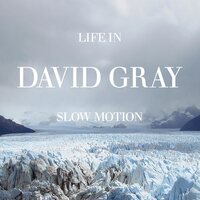 David Gray - Life in Slow Motion (Deluxe; Blue) vinyl cover
