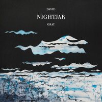 David Gray - Nightjar vinyl cover