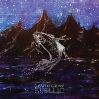 David Gray - Skellig vinyl cover