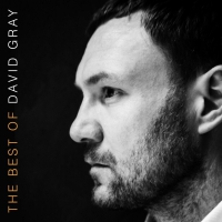 David Gray - The Best Of David Gray vinyl cover