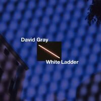 David Gray - White Ladder vinyl cover