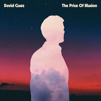 David Guez - Price Of Illusion vinyl cover