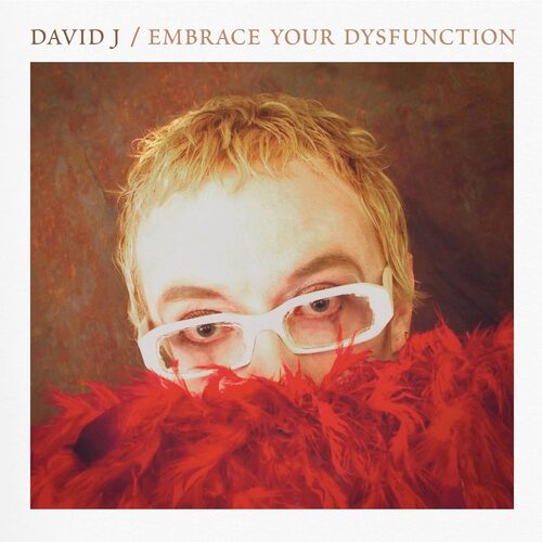 David J - Embrace Your Dysfunction (Red/White Haze) vinyl cover
