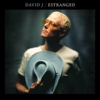 David J - Estranged vinyl cover