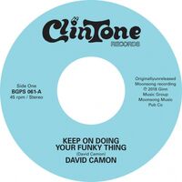 David; Johnny Jacobs Camon - Keep On Doing Your Funky Thing vinyl cover