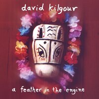 David Kilgour - A Feather in the Engine vinyl cover