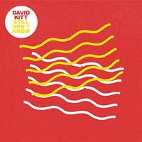 David Kitt - Still Don't Know vinyl cover