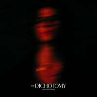 David Kushner - The Dichotomy vinyl cover