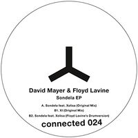David & Lavine, Floyd Mayer - Connected vinyl cover