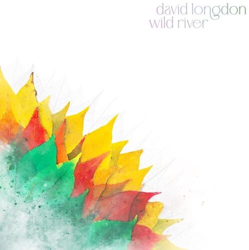 David Longdon - Wild River (Yellow & Green) vinyl cover