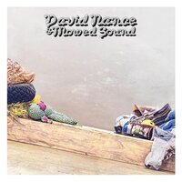 David Nance - David Nance & Mowed Sound vinyl cover