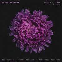 David Preston - Purple / Black Vol 1 vinyl cover