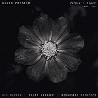 David Preston - Purple/Black Volume 2 vinyl cover