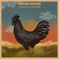 David Quinn - Country Fresh vinyl cover