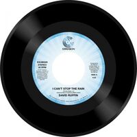 David Ruffin - I Can't Stop The Rain / Questions vinyl cover