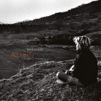 David Sylvian - Alchemy: An Index Of Possibilities vinyl cover